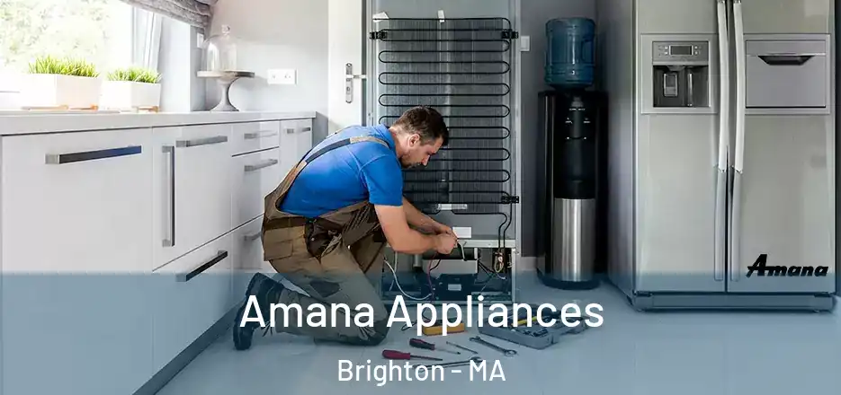  Amana Appliances Brighton - MA