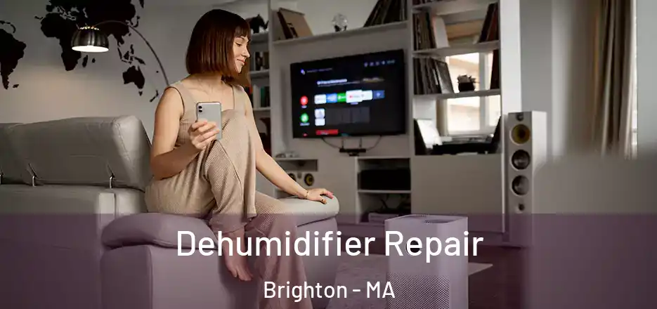  Dehumidifier Repair Brighton - MA