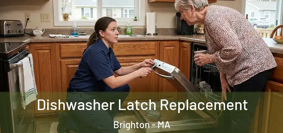 Dishwasher Latch Replacement Brighton - MA