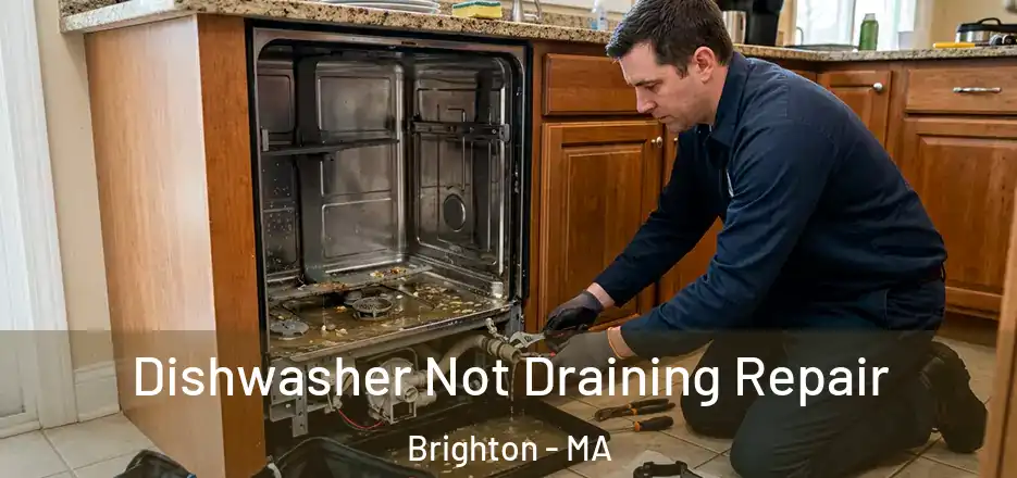Dishwasher Not Draining Repair Brighton - MA