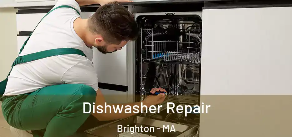 Dishwasher Repair Brighton - MA