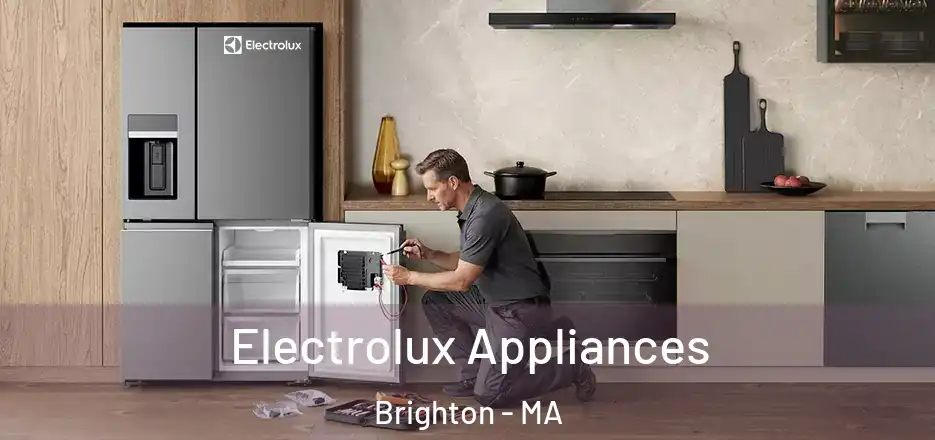  Electrolux Appliances Brighton - MA