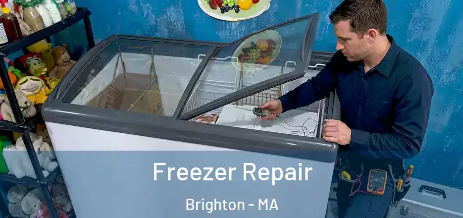 Freezer Repair Brighton - MA