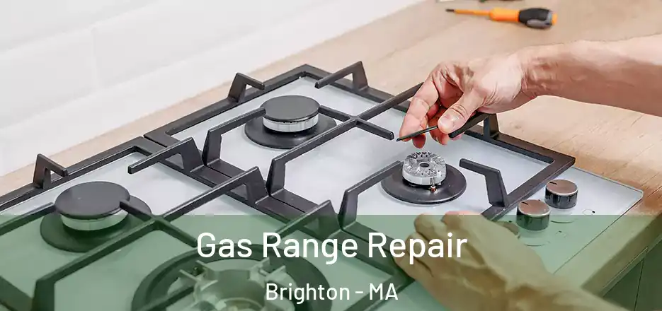  Gas Range Repair Brighton - MA