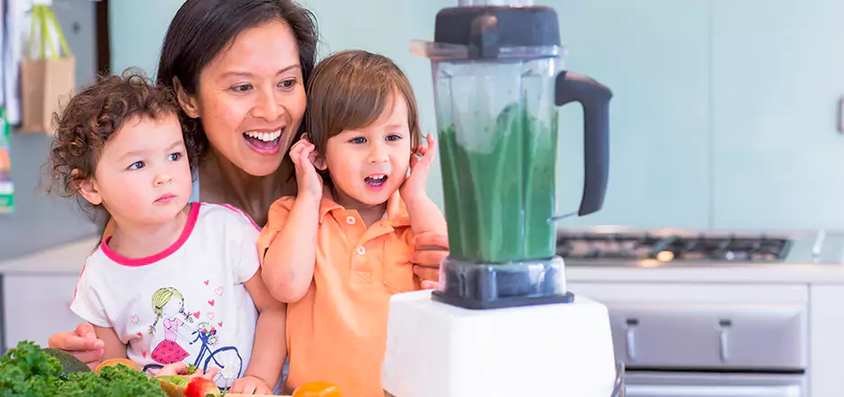 Juicer and Mixer Blender Repair in Brighton