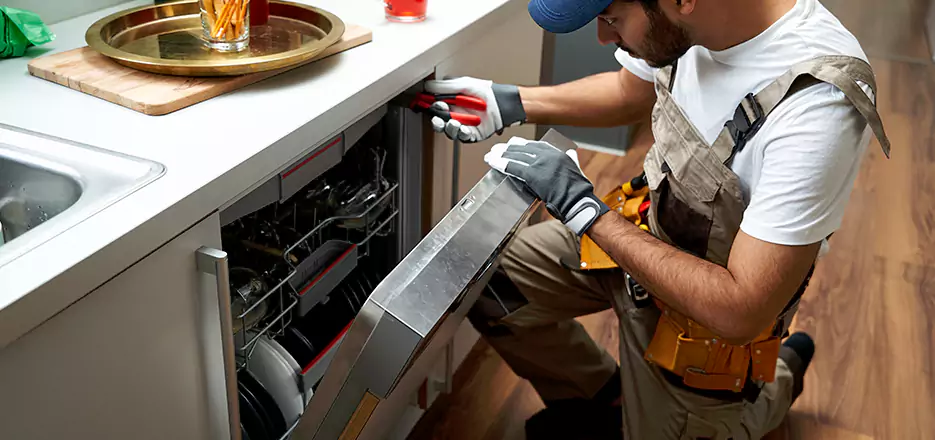 Same Day Dishwasher Not Draining Repair in Brighton