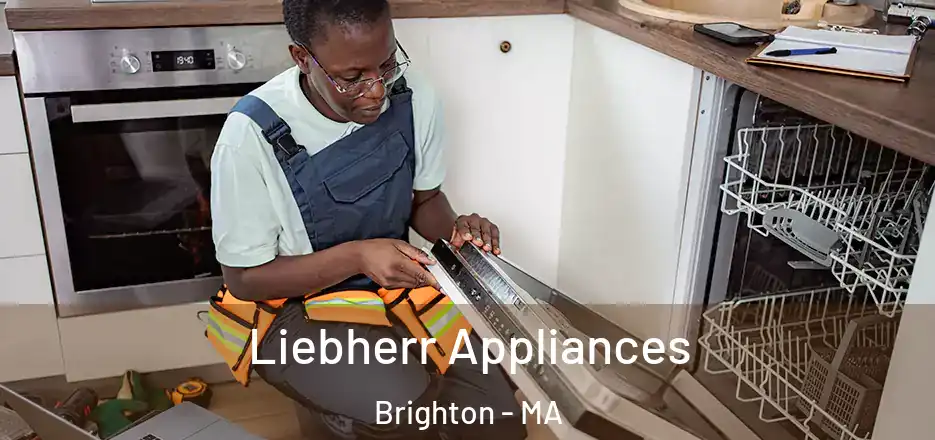 Liebherr Appliances Brighton - MA