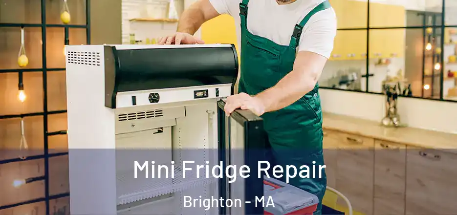 Mini Fridge Repair Brighton - MA