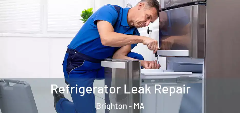 Refrigerator Leak Repair Brighton - MA