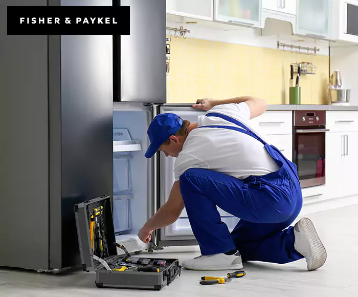 Top-Rated Fisher & Paykel Appliance Experts: Your Brand Specialist in Brighton, MA