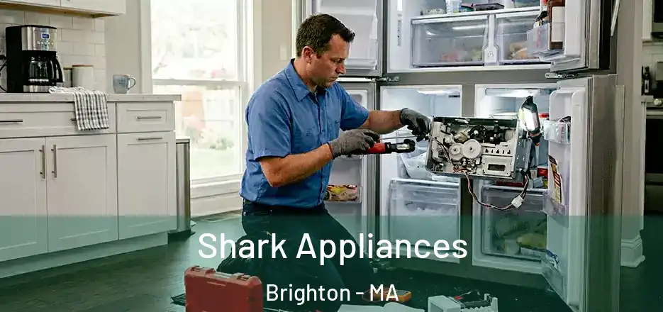 Shark Appliances Brighton - MA