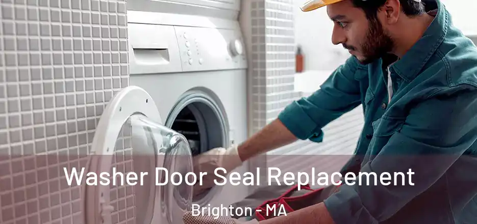 Washer Door Seal Replacement Brighton - MA